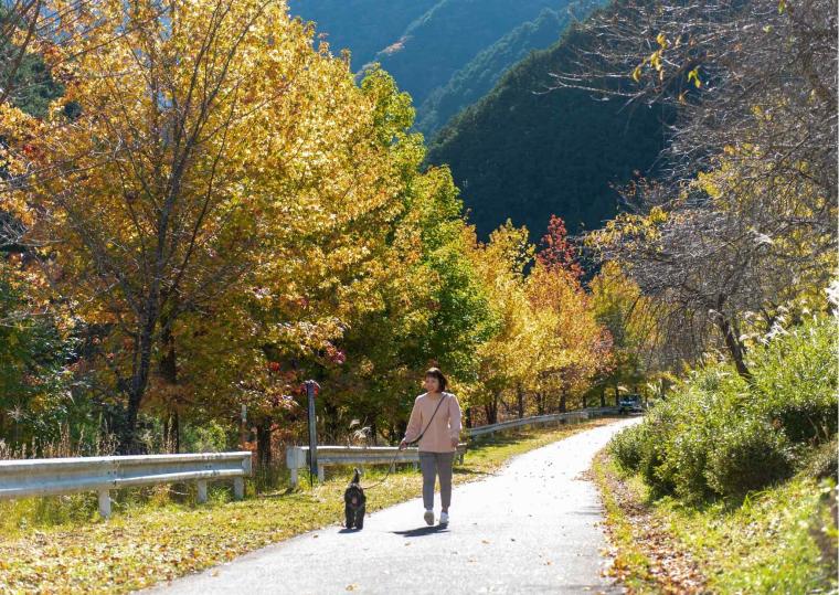 松阪わんわんパラダイス　森のホテルスメール