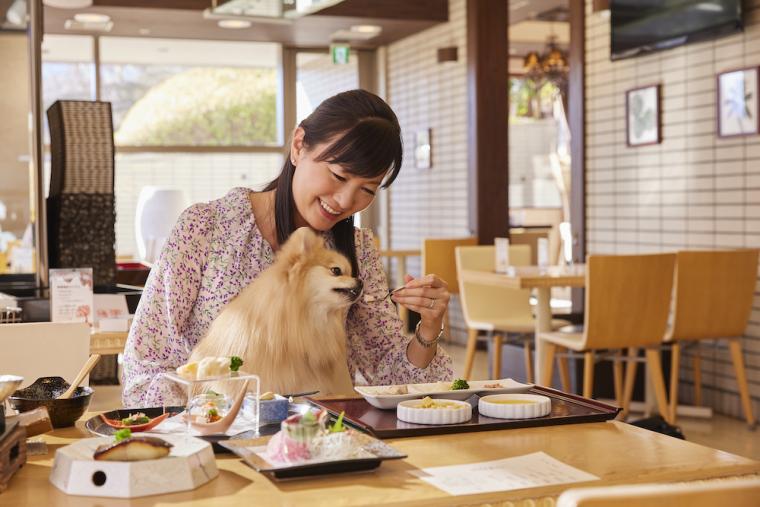 愛犬お宿　伊豆高原