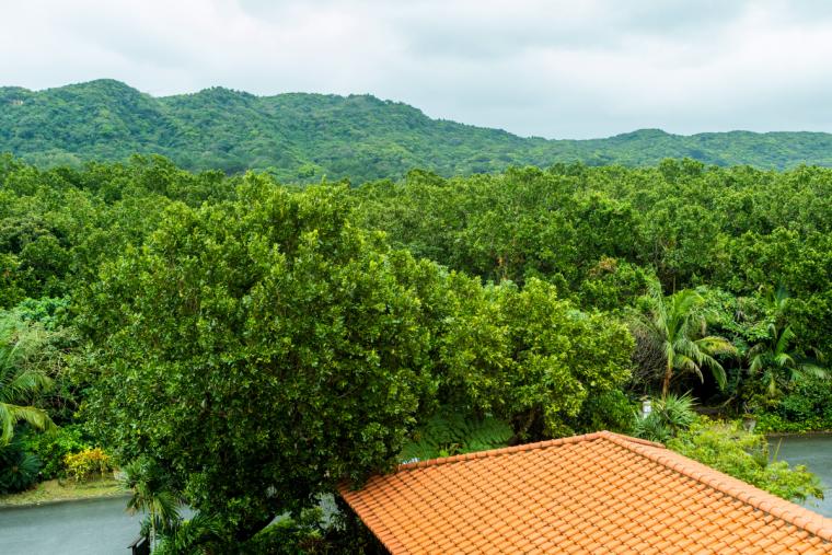 星野リゾート 西表島ホテル