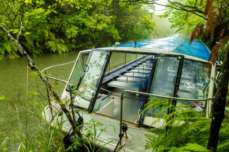 ダイナミック西表島アドベンチャー