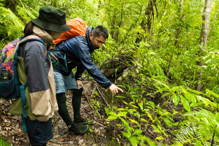 ダイナミック西表島アドベンチャー