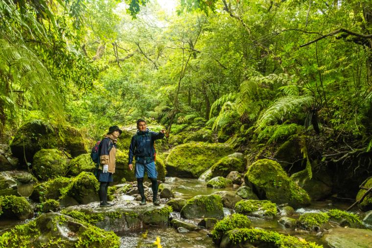 ダイナミック西表島アドベンチャー