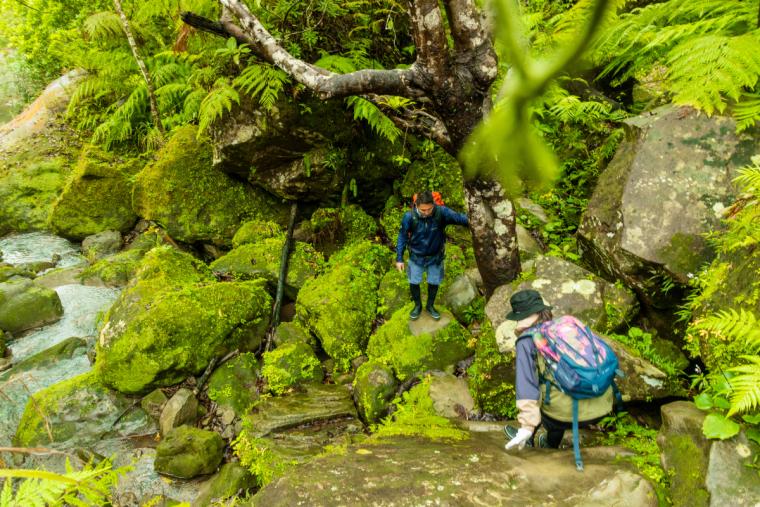 ダイナミック西表島アドベンチャー