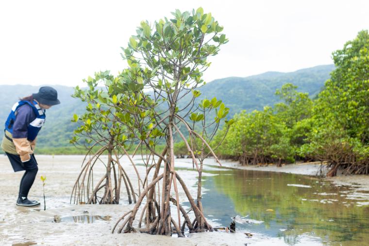 ダイナミック西表島アドベンチャー