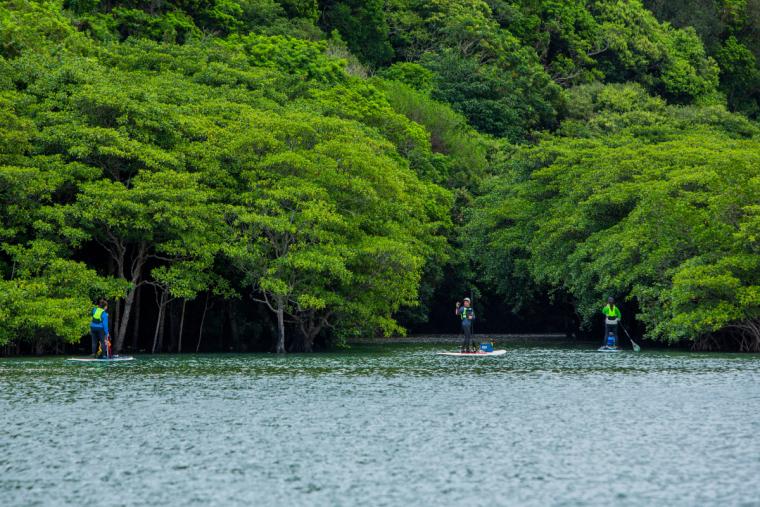 浦内川ジャングルクルーズ
