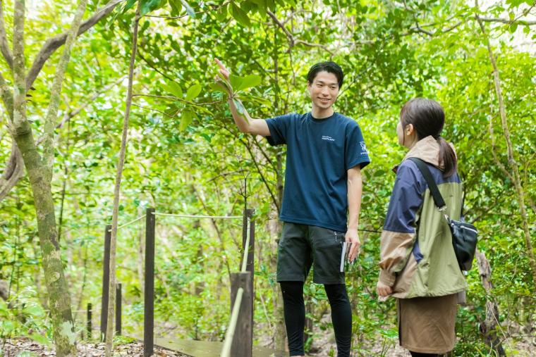 イリオモテガイドウォーク