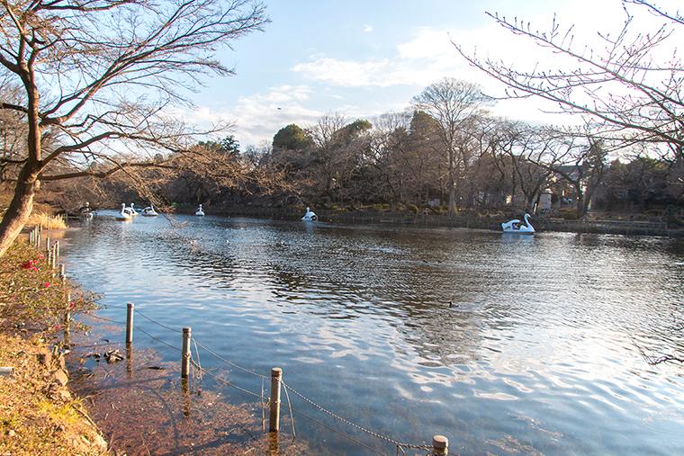 吉祥寺　井の頭恩賜公園