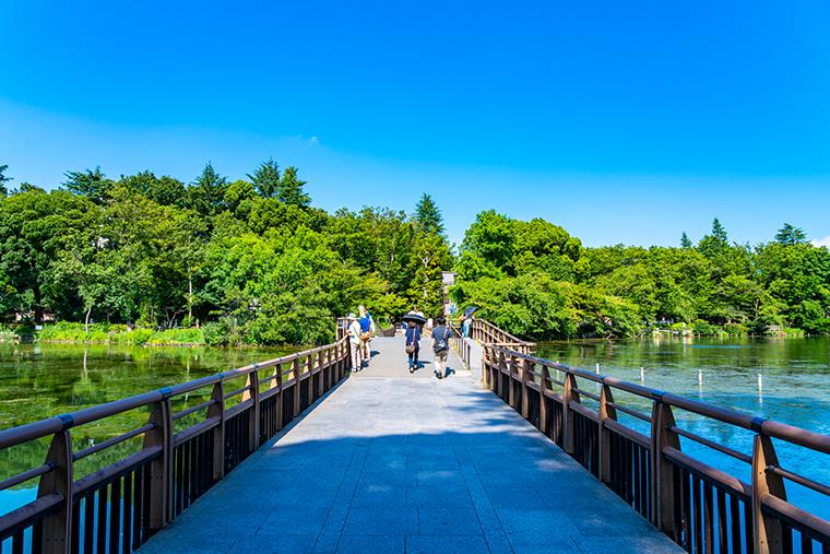 吉祥寺　井の頭恩賜公園
