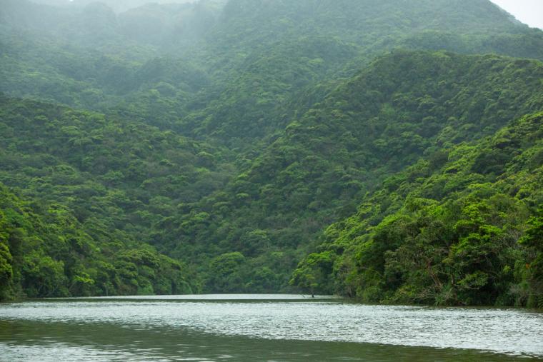浦内川ジャングルクルーズ