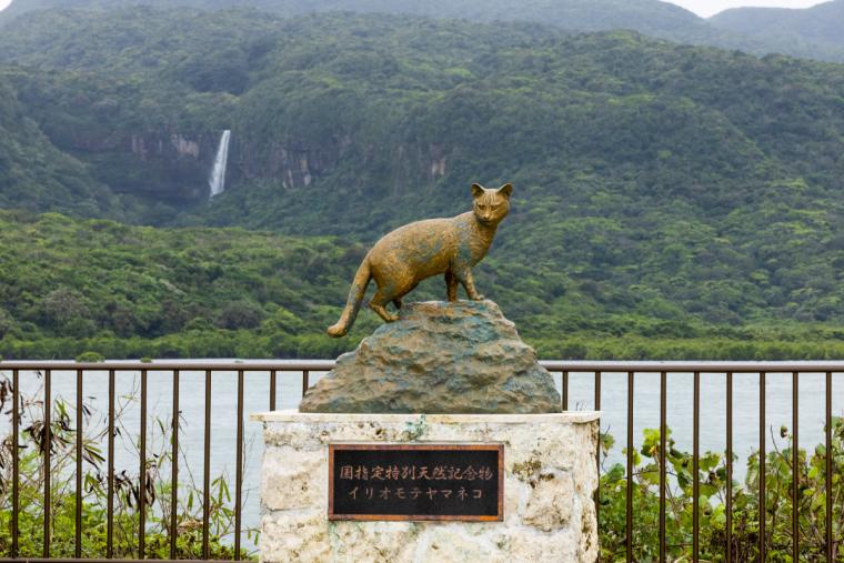 イリオモテヤマネコの銅像