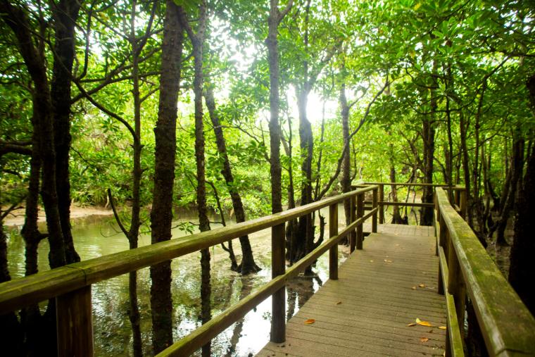 大見謝ロードパーク