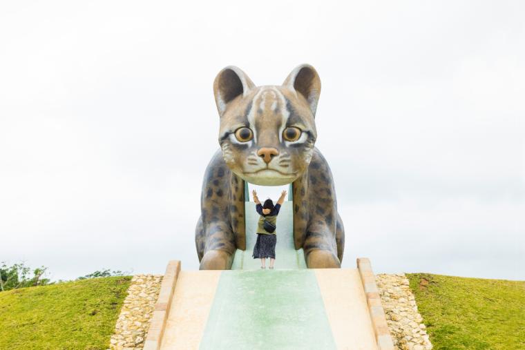 ンママキーやまねこパーク（西表東部公園）