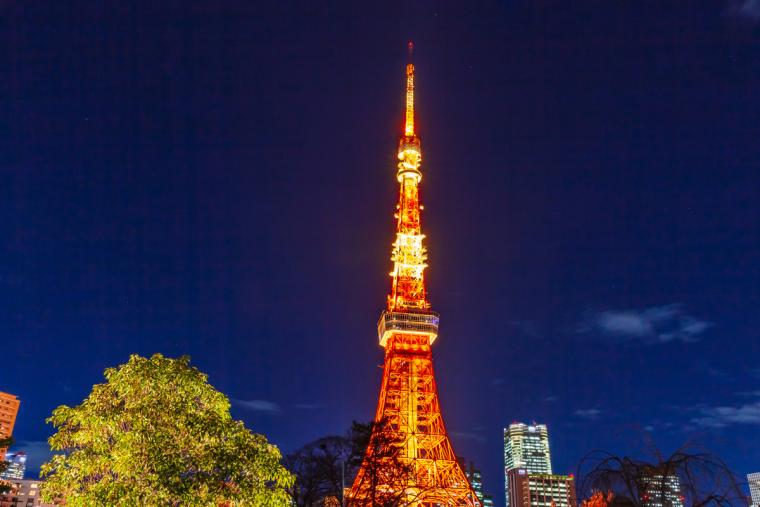 東京タワーの夜景