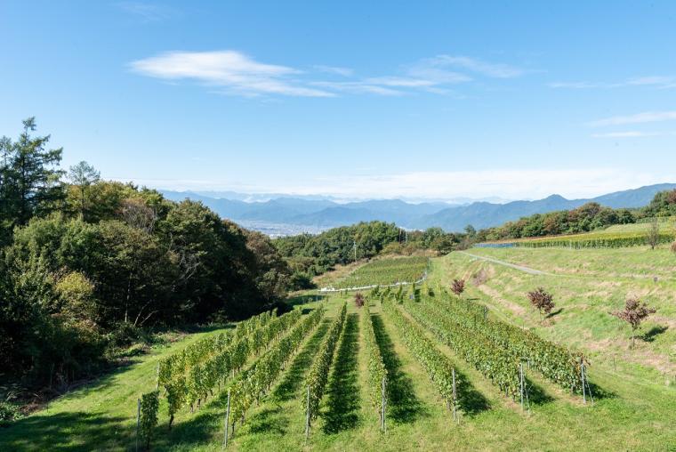 長野県　東御市　ヴィラデスト ガーデンファーム アンド ワイナリー