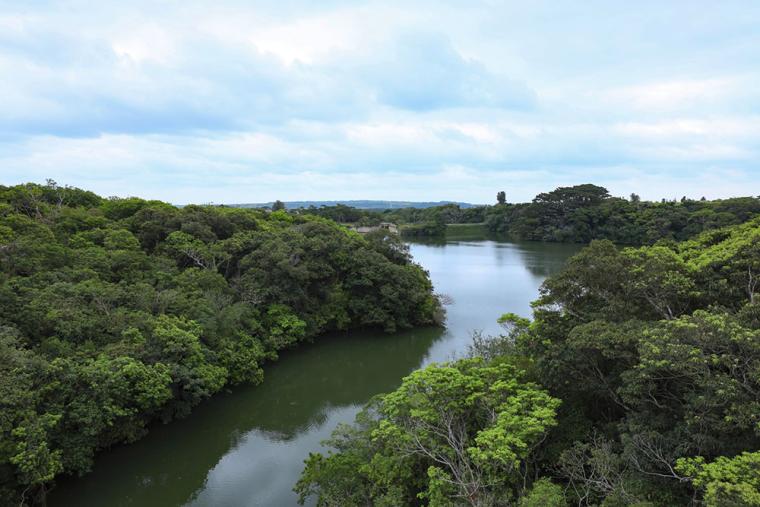 石垣島バンナ公園 セグウェイツアー