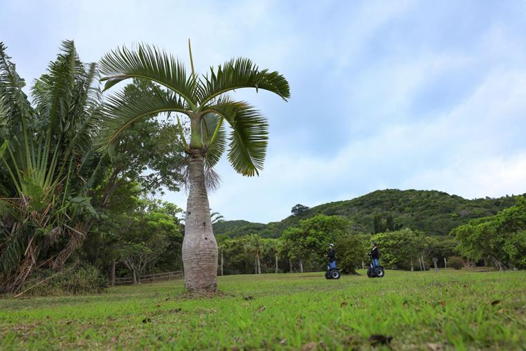 石垣島バンナ公園 セグウェイツアー