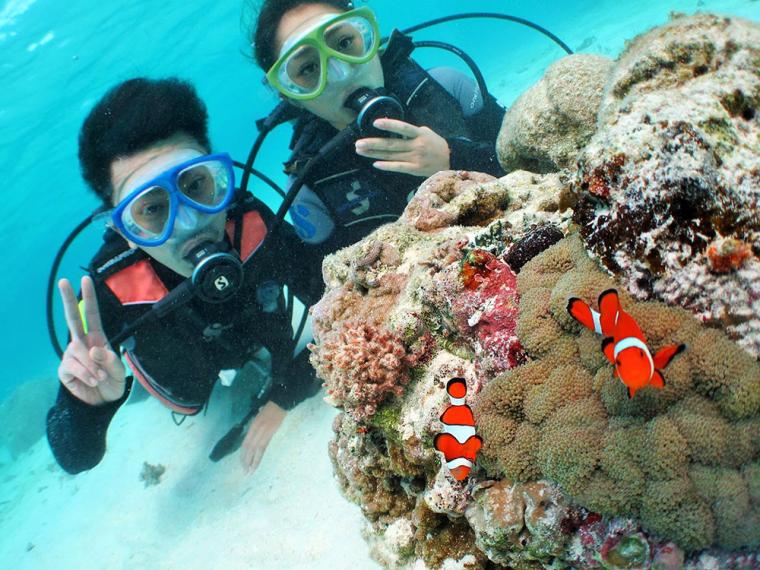 石垣島 冬 ダイビング