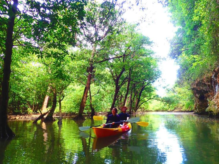 石垣島 冬のカヤックツアー