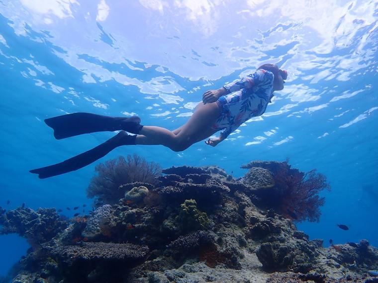 石垣島 冬のシュノーケリング体験ツアー