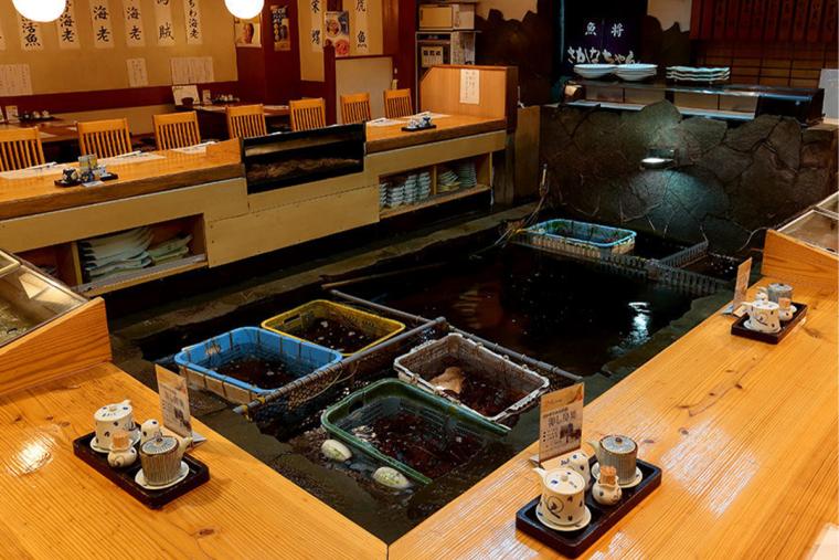 魚将 さかなちゃん