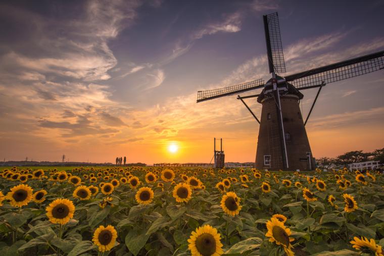 佐倉ふるさと広場