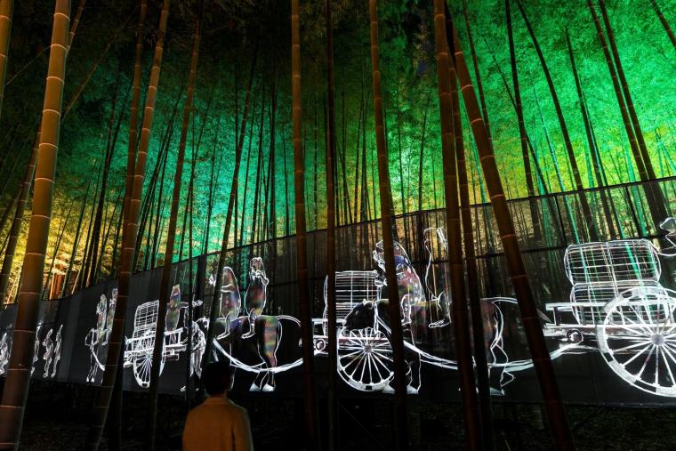 「Walk, Walk, Walk－孟宗竹林」