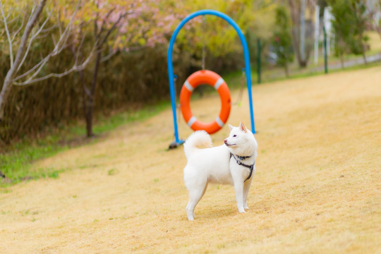 月影の丘ホテル　ヴィラ勝山アヴェール
