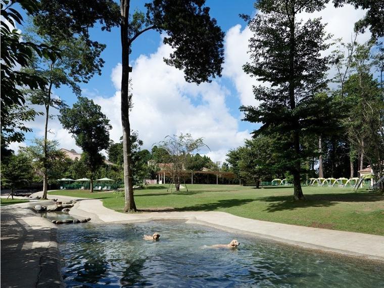 小谷流の里　ドギーズアイランド