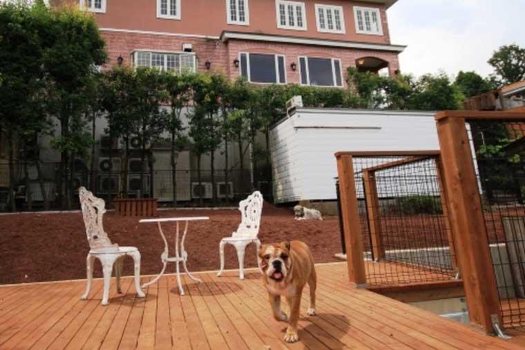 伊豆高原　ドッグリゾート　ＯＮＥ　ＭＯＲＥ（ワンモア）