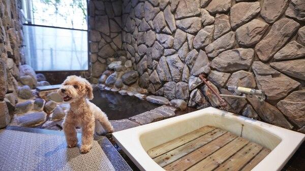 那須温泉　ウェルネスの森　那須