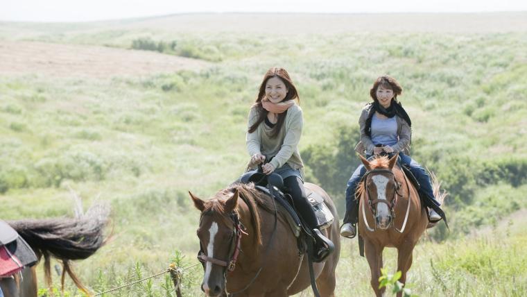 エル・パティオ牧場