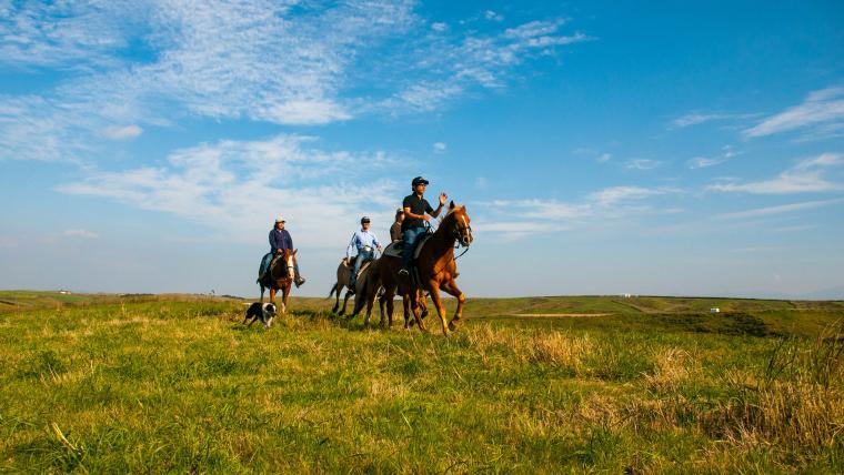 フロンティアホースグループ　エル・パティオ牧場