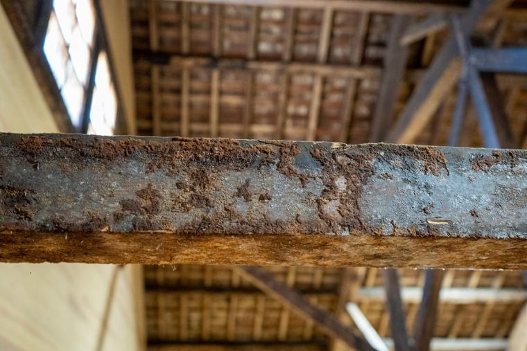 群馬県・桐生でサイクルトレインとグルメを楽しむおすすめコース