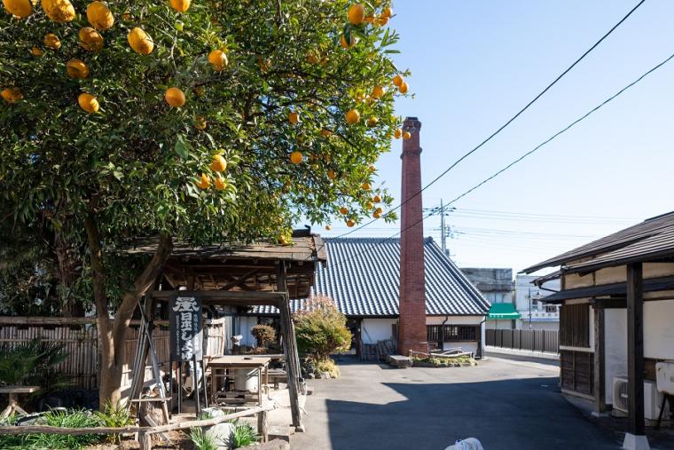 群馬県・桐生でサイクルトレインとグルメを楽しむおすすめコース