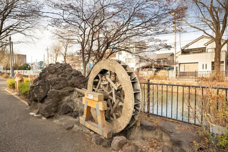 川沿いで自然を感じる「交水堰」
