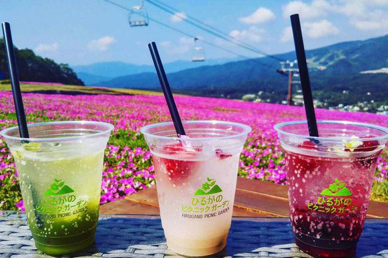 Momoiroテラス＆カフェ