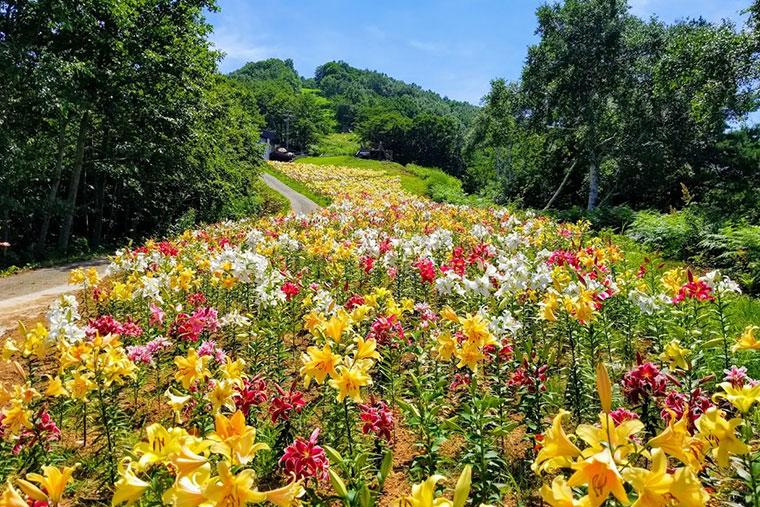 野尻湖テラス（タングラム斑尾）