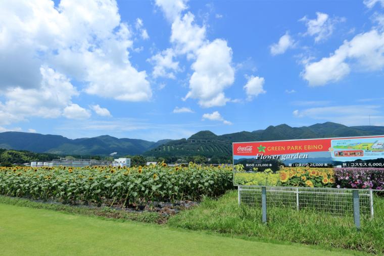 グリーンパークえびの