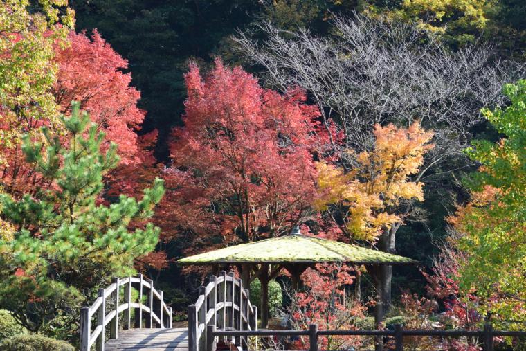 青井岳自然公園