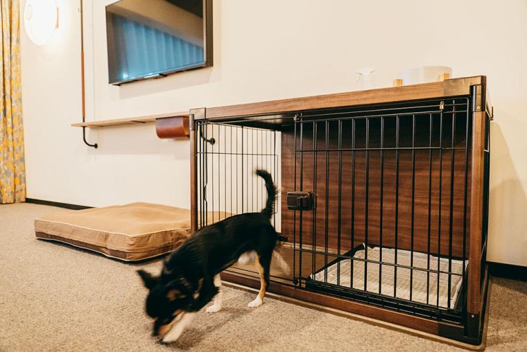 エースホテル京都 ペットフレンドリールーム