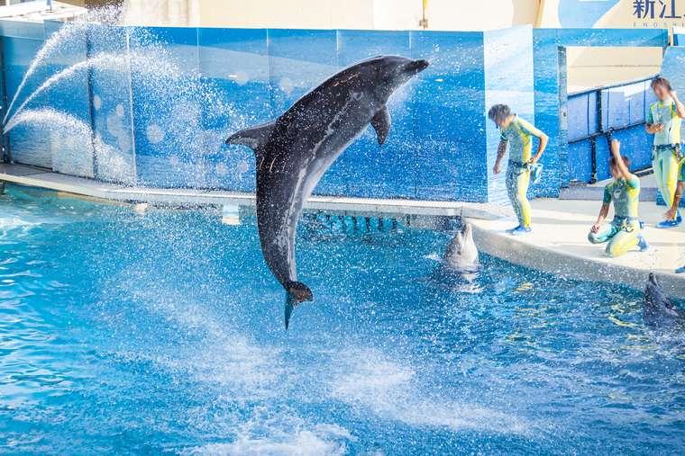 新江ノ島水族館