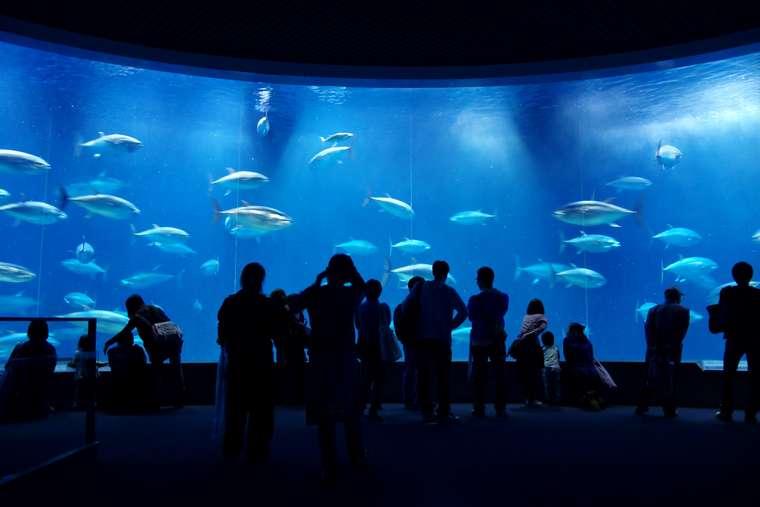 葛西臨海水族園