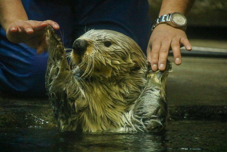 須磨海浜水族園