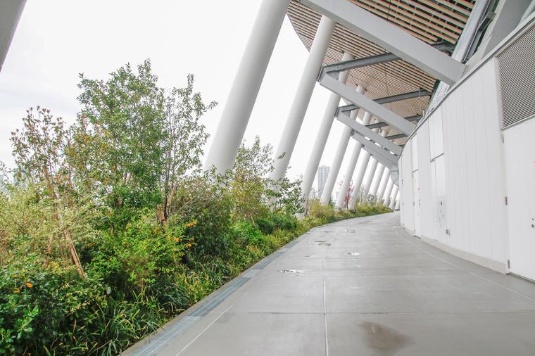 国立競技場の回廊