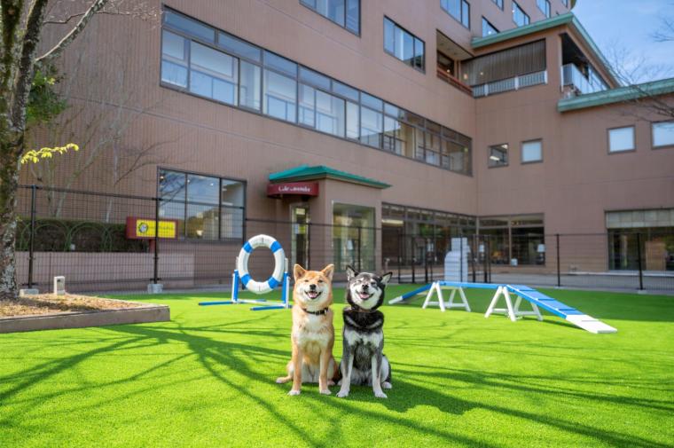 ホテルの敷地内にある広々としたドッグラン