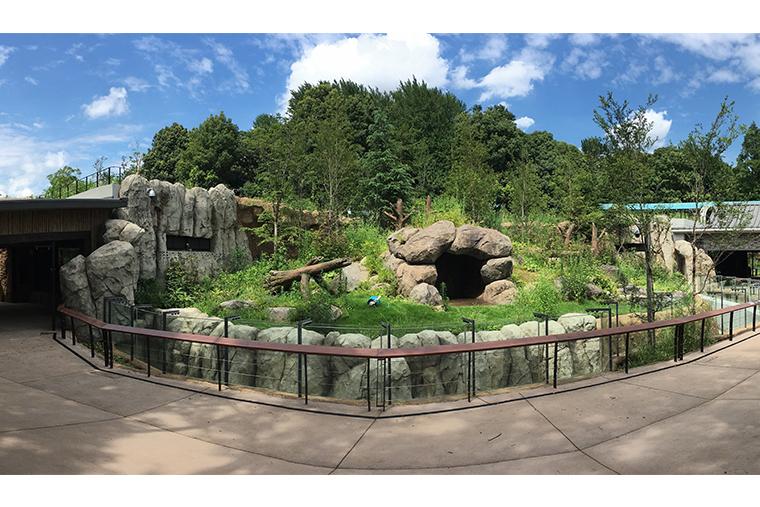 上野動物園　パンダのもり