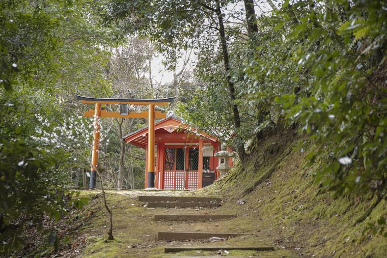 ウェスティン都ホテル京都 探鳥路