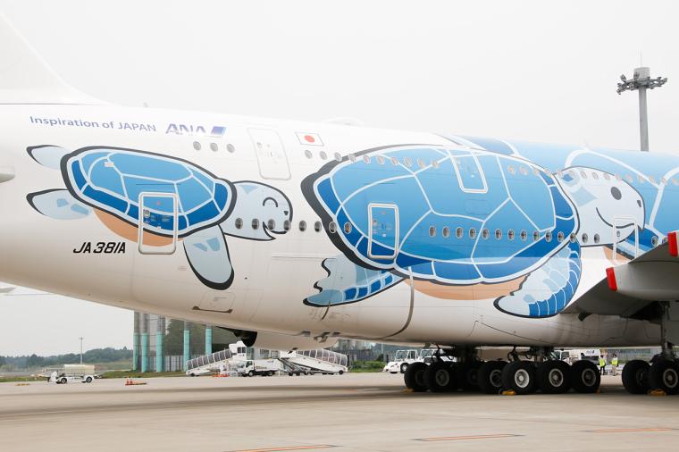 世界最大の旅客機でハワイへ！ANA「FLYING HONU（フライングホヌ）」が7月に運航再開