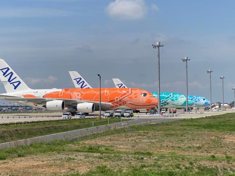 世界最大の旅客機でハワイへ！ANA「FLYING HONU（フライングホヌ）」が7月に運航再開