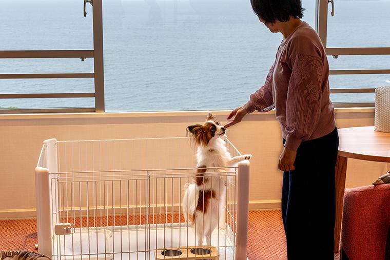 HOTEL ACAO　ドッグフレンドリールーム